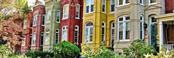 Holly Muhammad banner