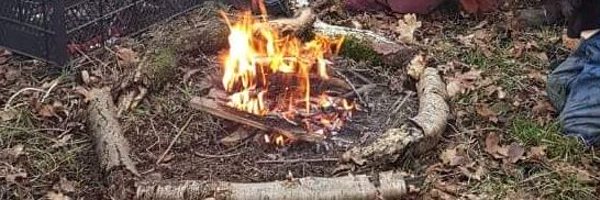 ShieldTreeWood Profile Banner