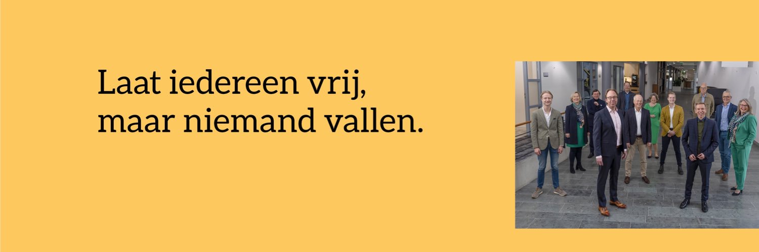 D66 Hoeksche Waard banner