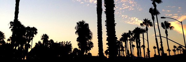 TortoiseFiveTwo Profile Banner