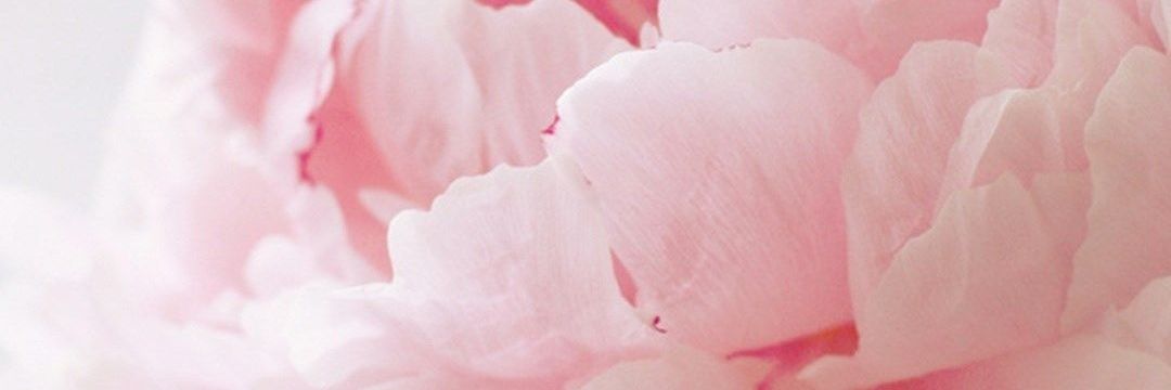 noelia_mw's profile banner image