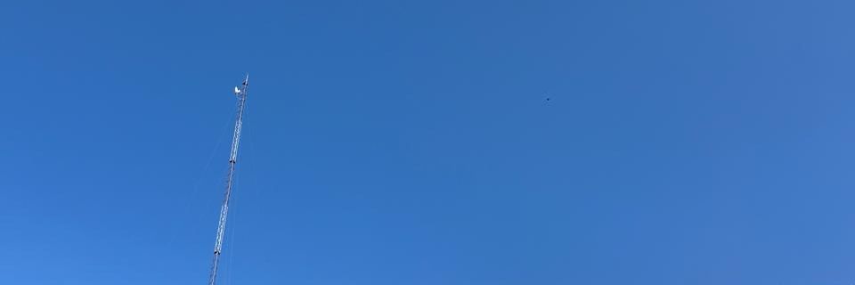 DS banner