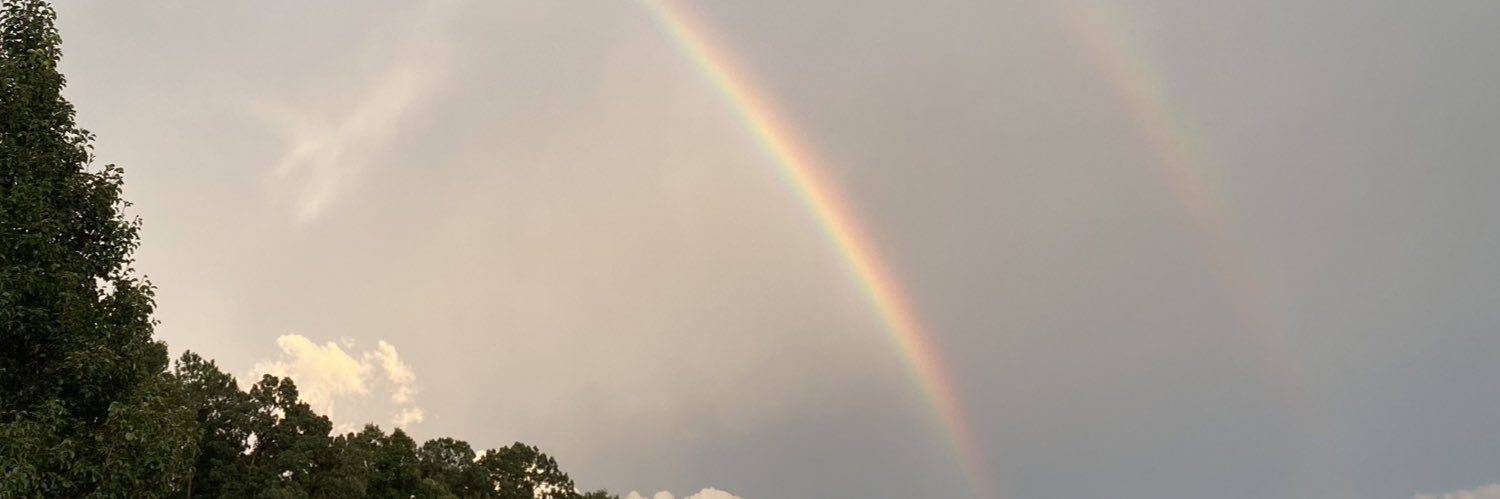 Kayla Pandel banner