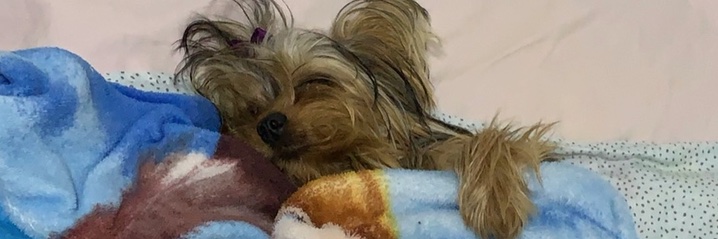 4b3k4's profile banner image