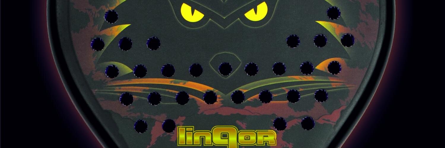 LinqorPadel's profile banner image