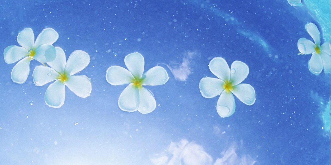 cel126's profile banner image