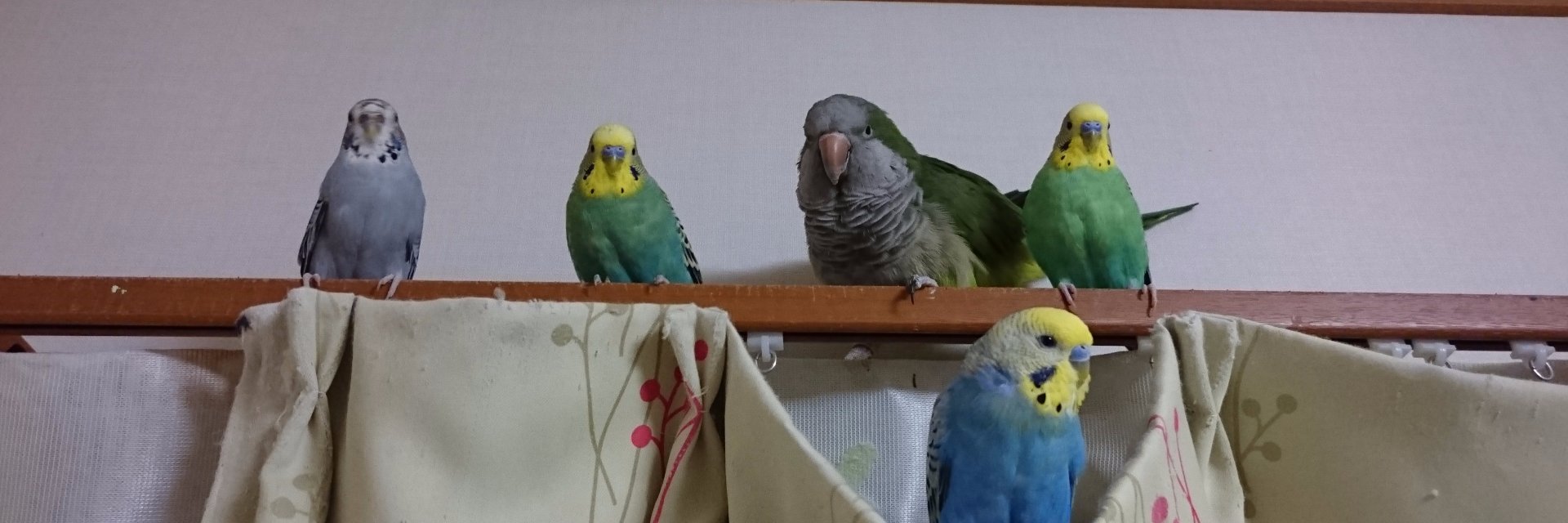 つくね banner