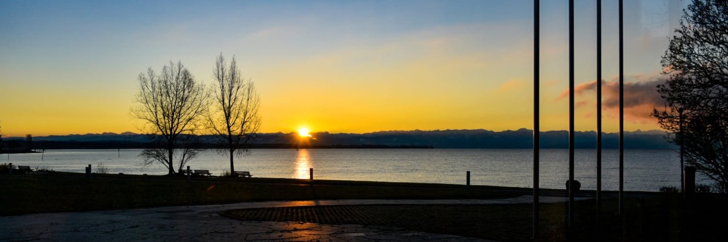 Liane Lindner banner