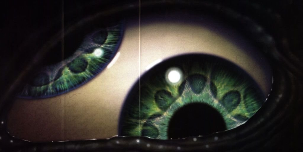 ylankay's profile banner image