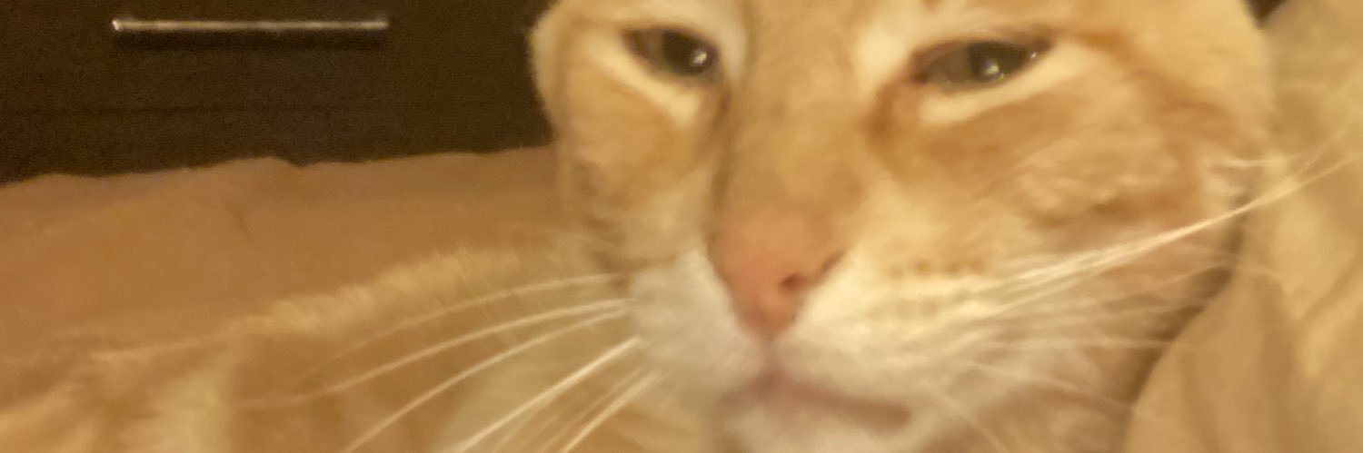 Kirkoking1's profile banner image