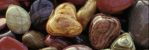 danone sabor psicodelia banner