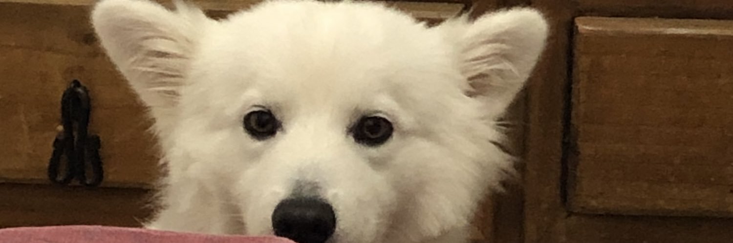 gabrielitagil's profile banner image