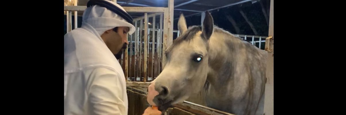 أ.عبدالرحمن .. banner