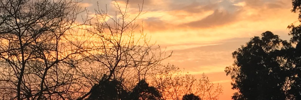 noraiye katapum 👩🏻‍🌾 banner