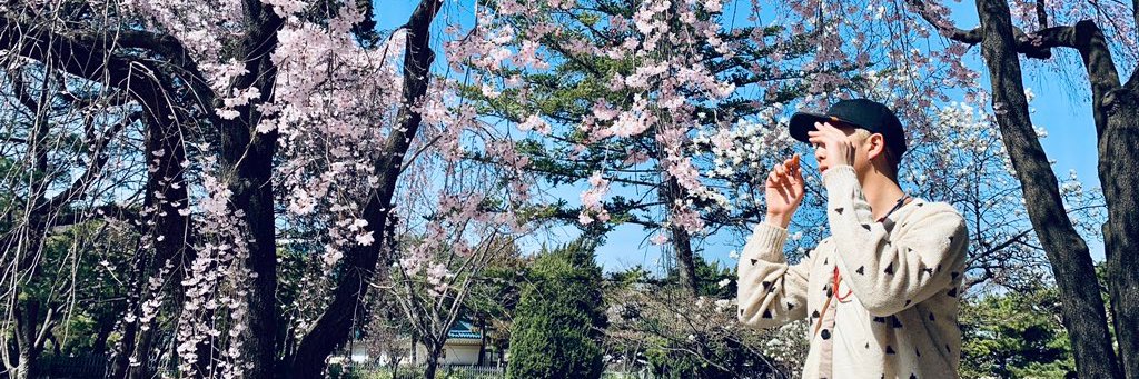 mayshojo's profile banner image