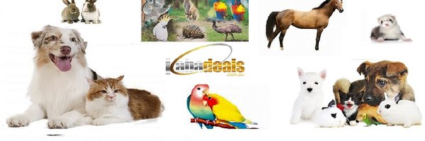 KABADeals Online Pet Store Profile Banner