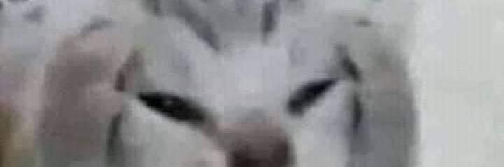 binhcon2's profile banner image