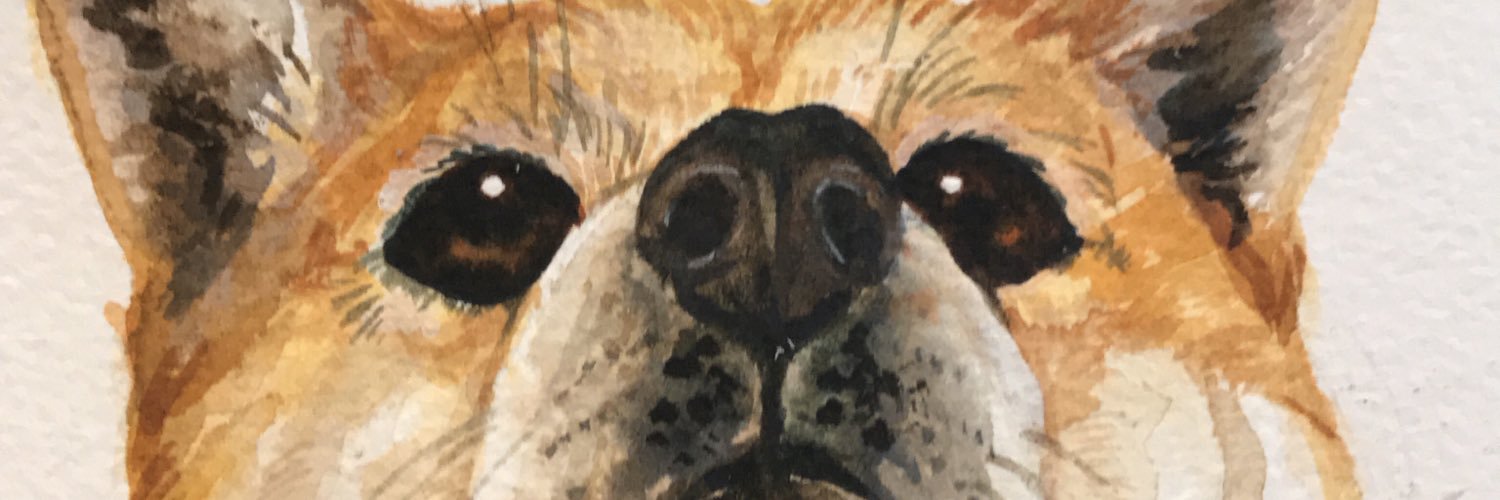 britbluekitten's profile banner image