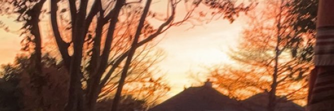 Synovamax's profile banner image