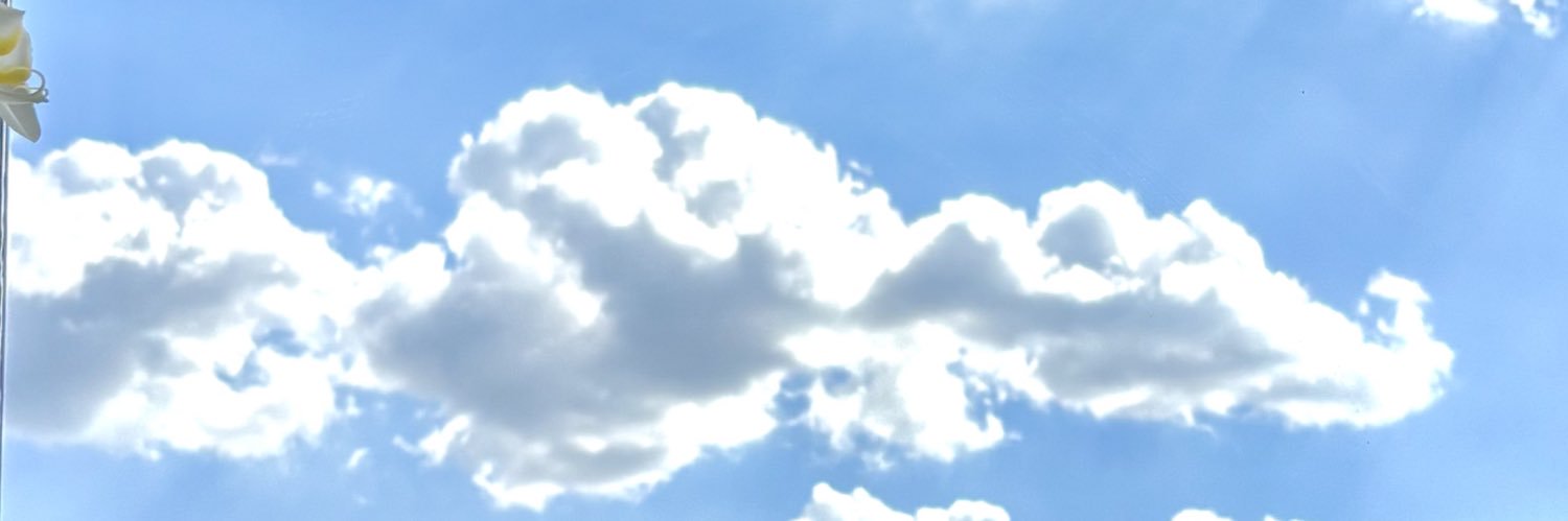 Kox_tn's profile banner image