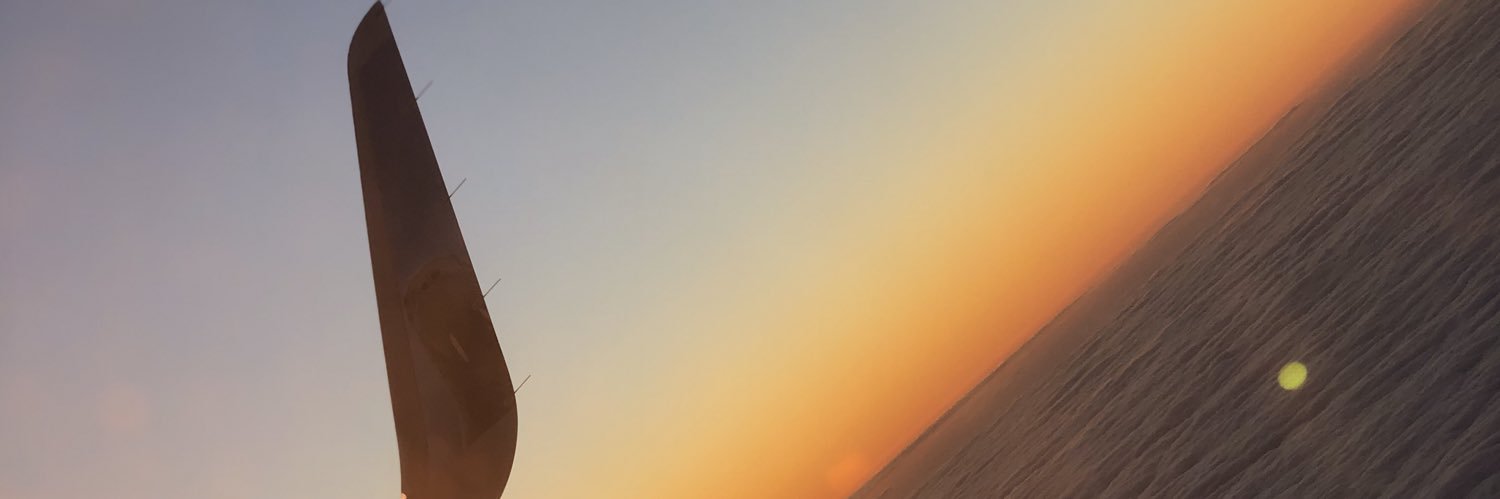 Bella❤️ banner