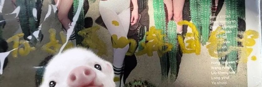 sunrui0729's profile banner image