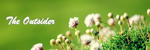 TheOutsider banner