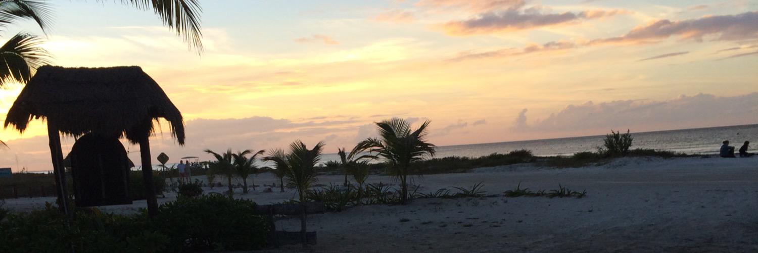 Matilda Lindevall banner