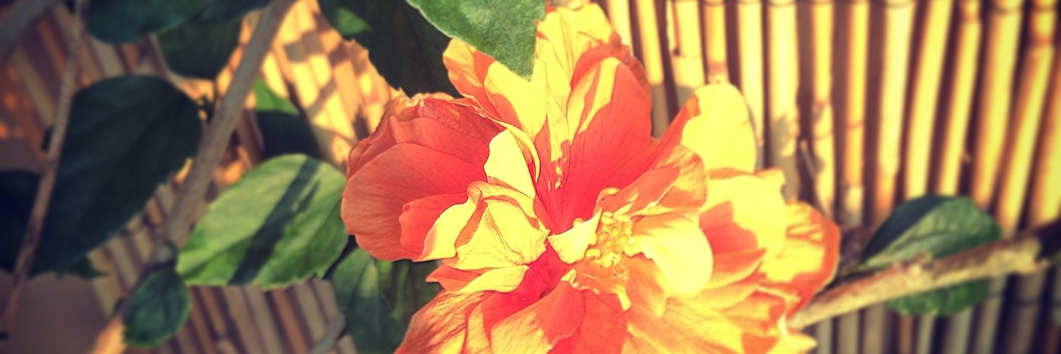 CGorman42691's profile banner image