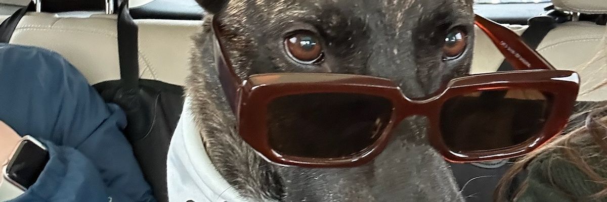 wba_simon's profile banner image