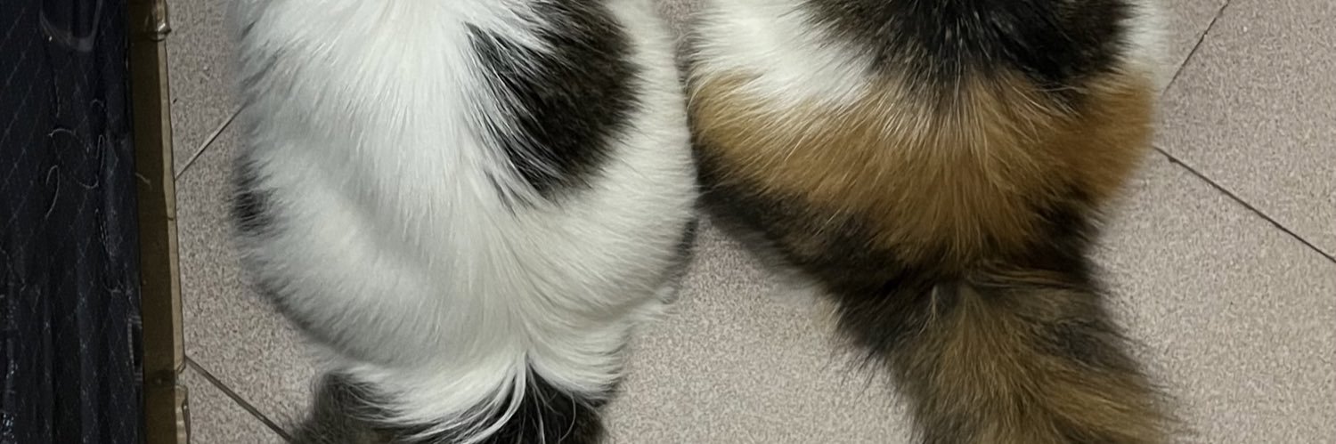 duondud's profile banner image