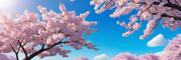 FlyHigh_AndFree Profile Banner