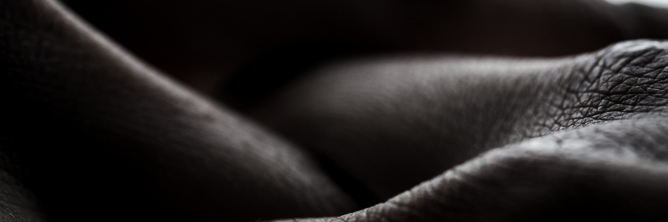 MJ_Slide's profile banner image
