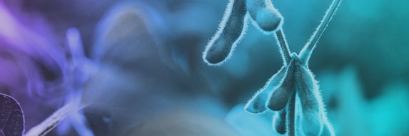 UFEX banner
