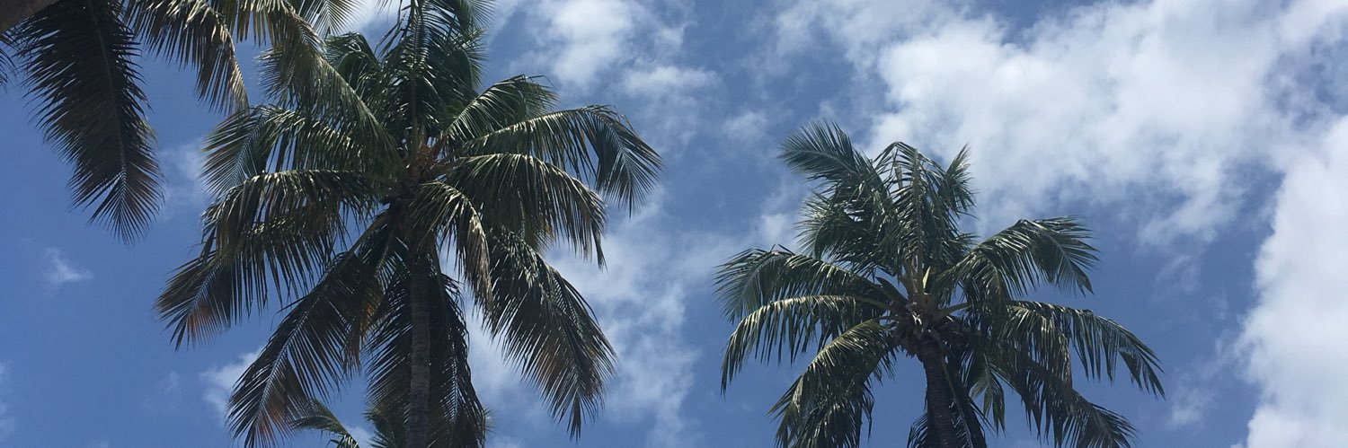 meguitmoraes's profile banner image