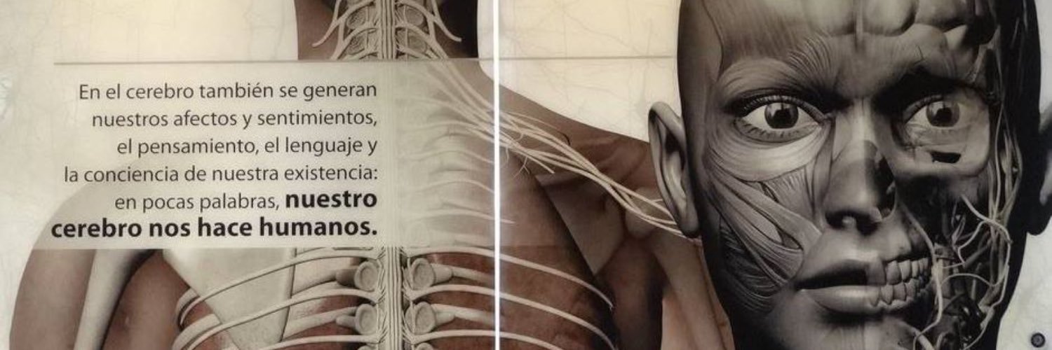 Lizeth O.R banner