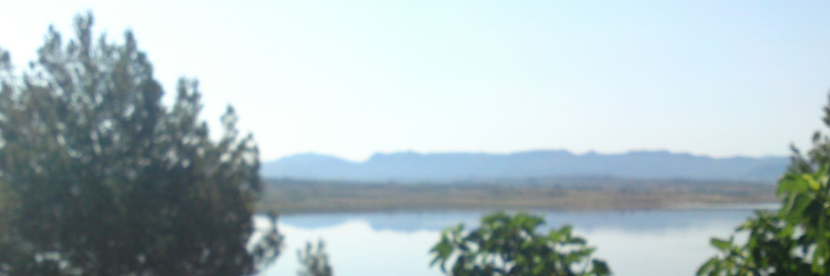 Juliane Schillinger banner