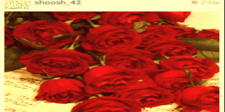 mmm2012444's profile banner image