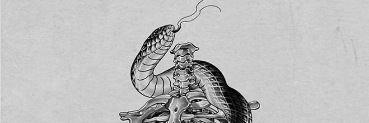 Brakauer's profile banner image