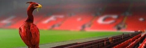 gball78's profile banner image