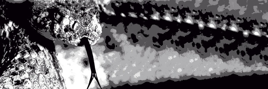 DeathRatt1e's profile banner image
