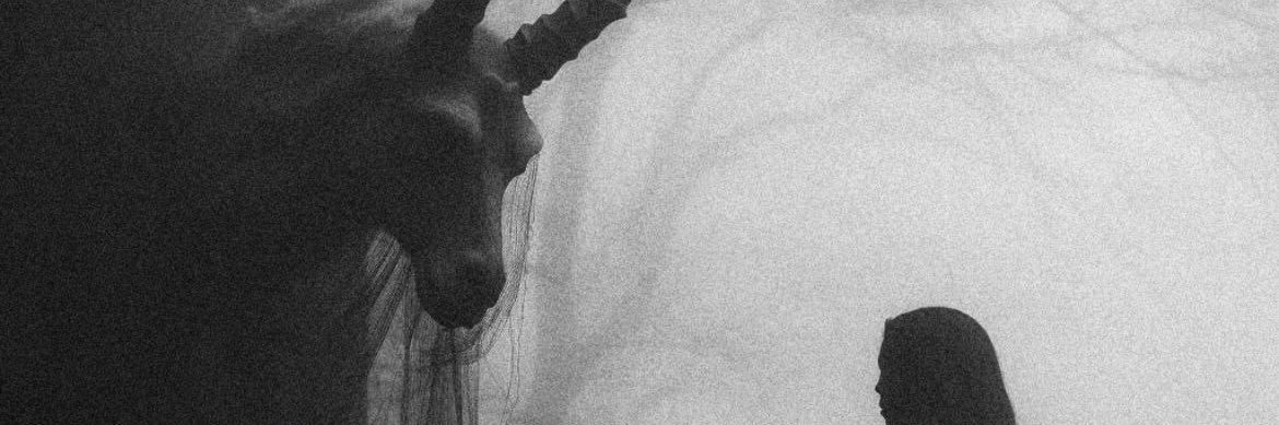 Y0z33's profile banner image