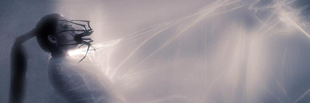Persephonebleed's profile banner image