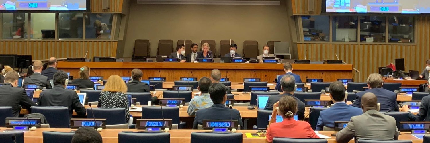 Ingeborg Denissen banner