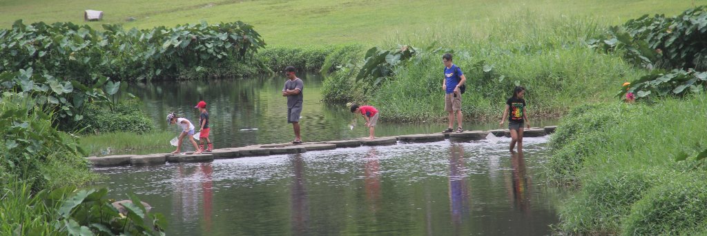 Natural Capital Singapore banner