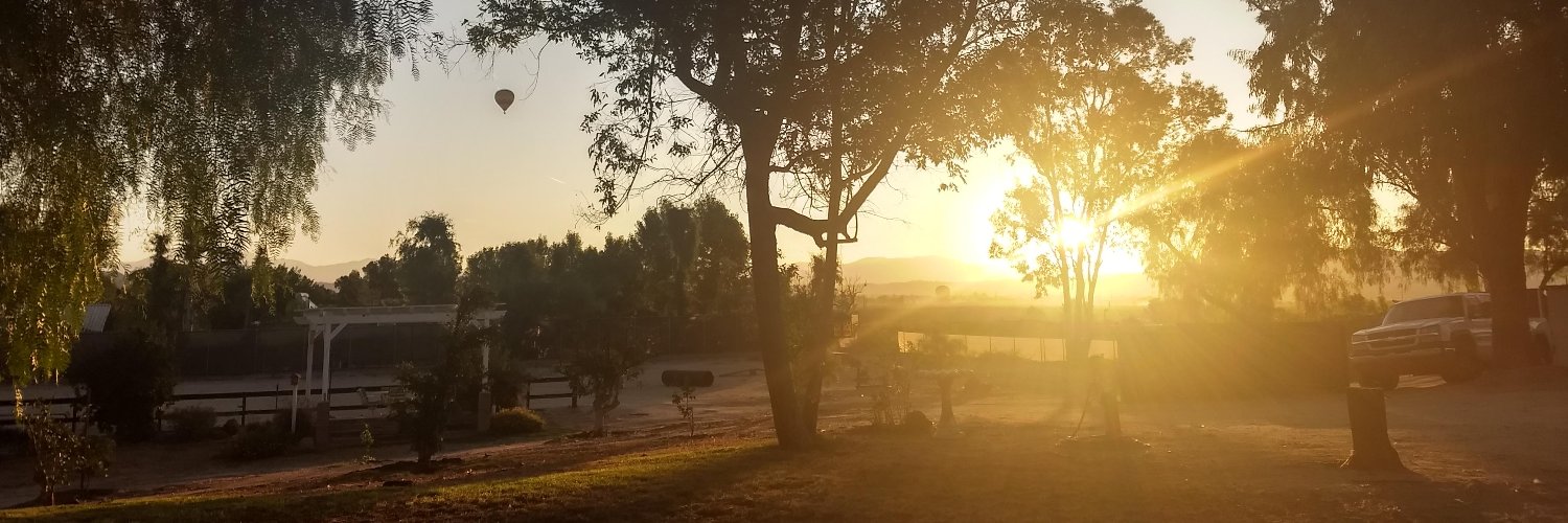 MadAndMadder's profile banner image