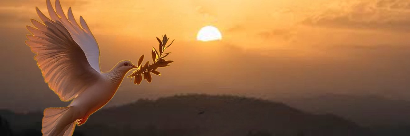 Kolinz_Jeff01's profile banner image