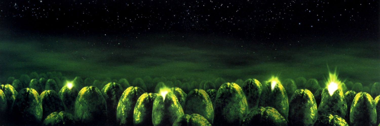 Bunchofives's profile banner image
