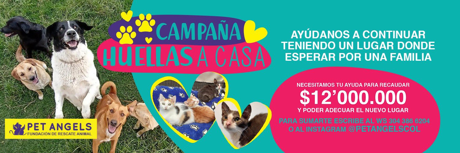PetAngelsCol 🐱🐶 banner