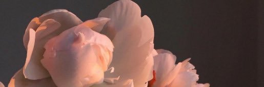 donkey kong meat|Tears of the Kingdom 2023 banner